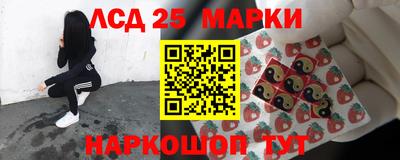 гашик Аргун