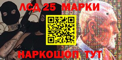 гашик Аргун