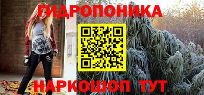 гашик Аргун