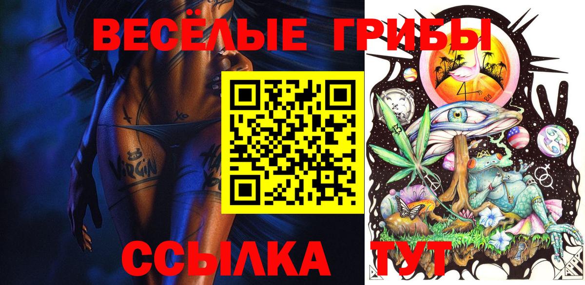 Галлюциногенные грибы Cubensis  наркошоп  Галлюциногенные грибы прущие грибы  Берёзовский  Вход с VPN 