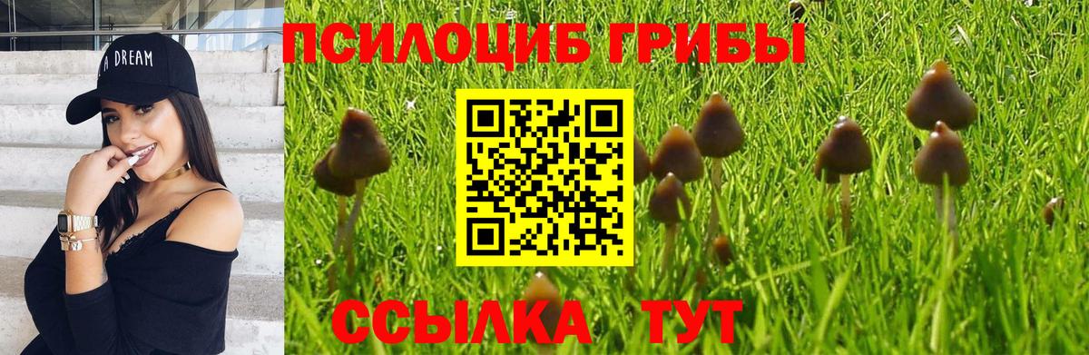 Псилоцибиновые грибы Magic Shrooms Берёзовский