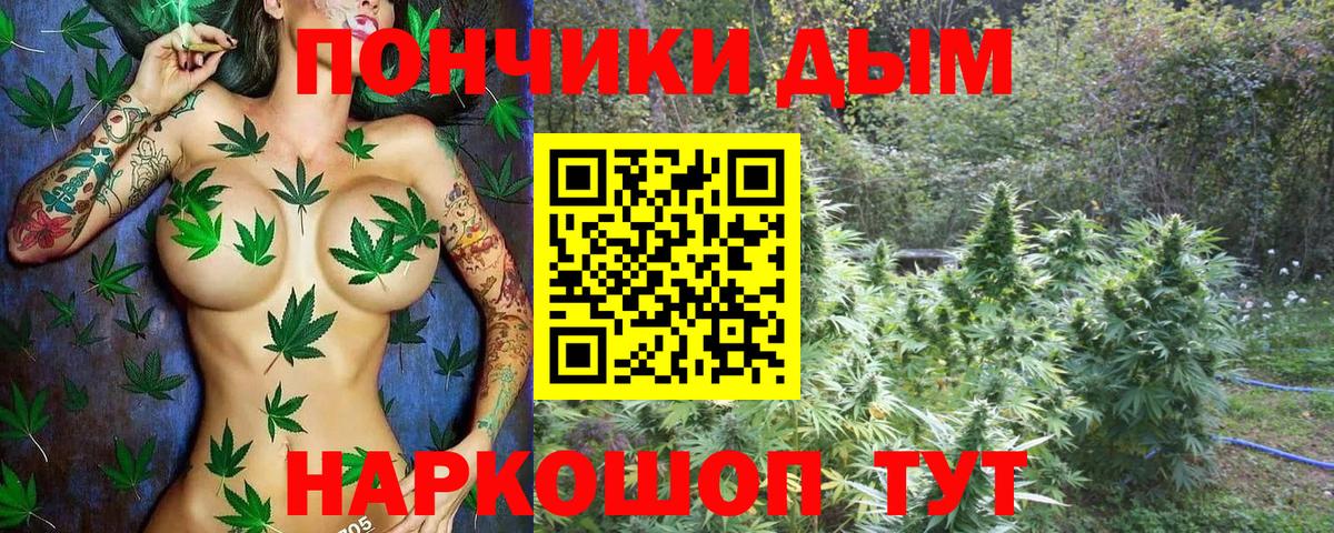 Каннабис Ganja Берёзовский